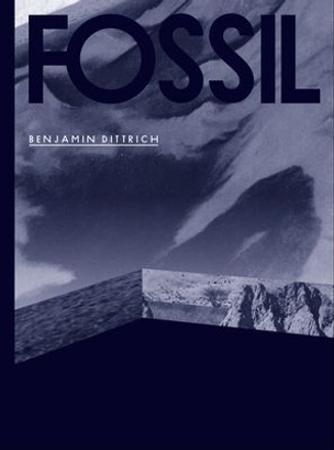 FOSSIL