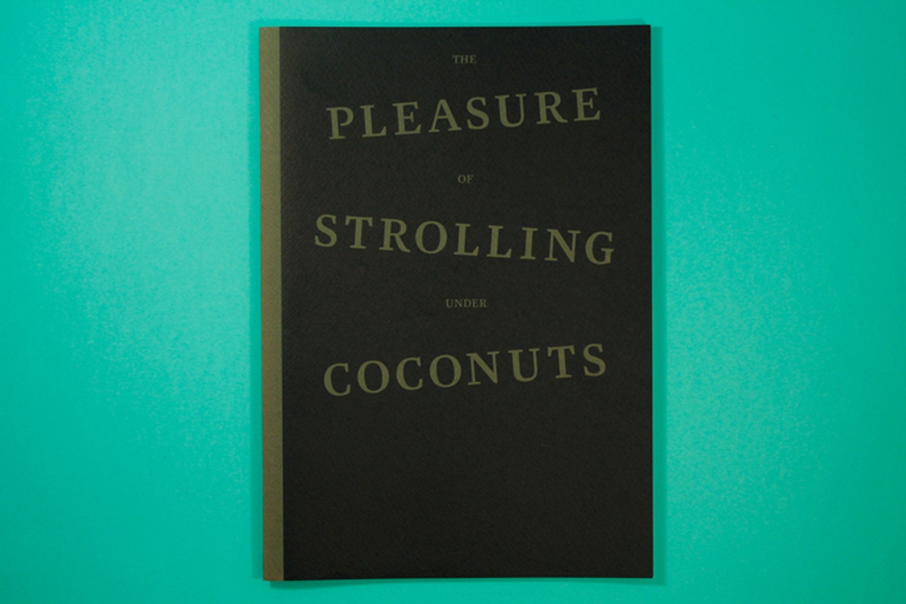 The Pleasure of Strolling Under Coconuts thumbnail 3