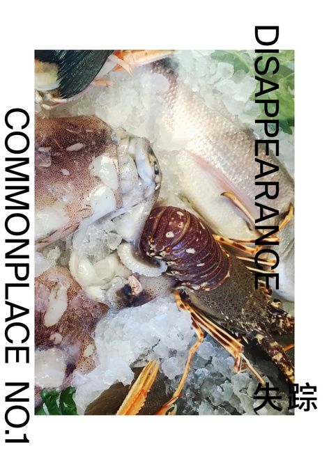 Commonplace Issue 1 - Disappearance  Launch Party