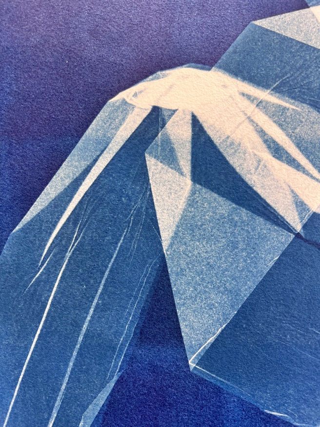 Dear Anna Atkins [Print] 1 thumbnail 2