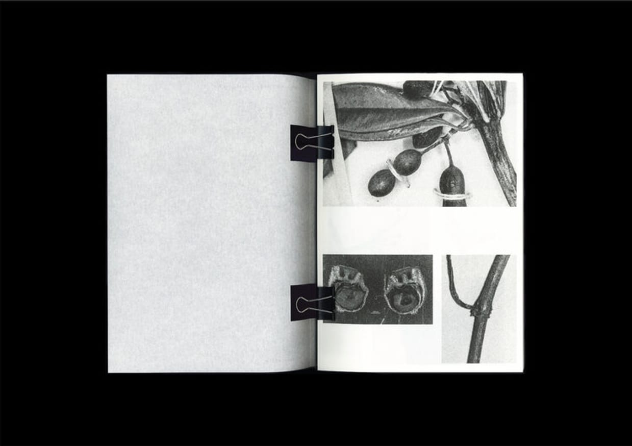Loh Xiang Yun - Microscopic Images - Printed Matter
