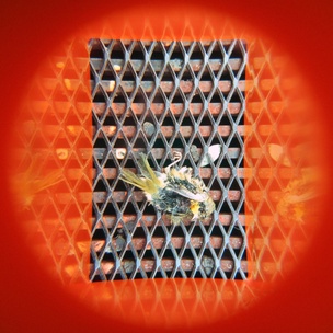 What in Me is Dark Illumine (Orange Viewer, Fifth Edition)