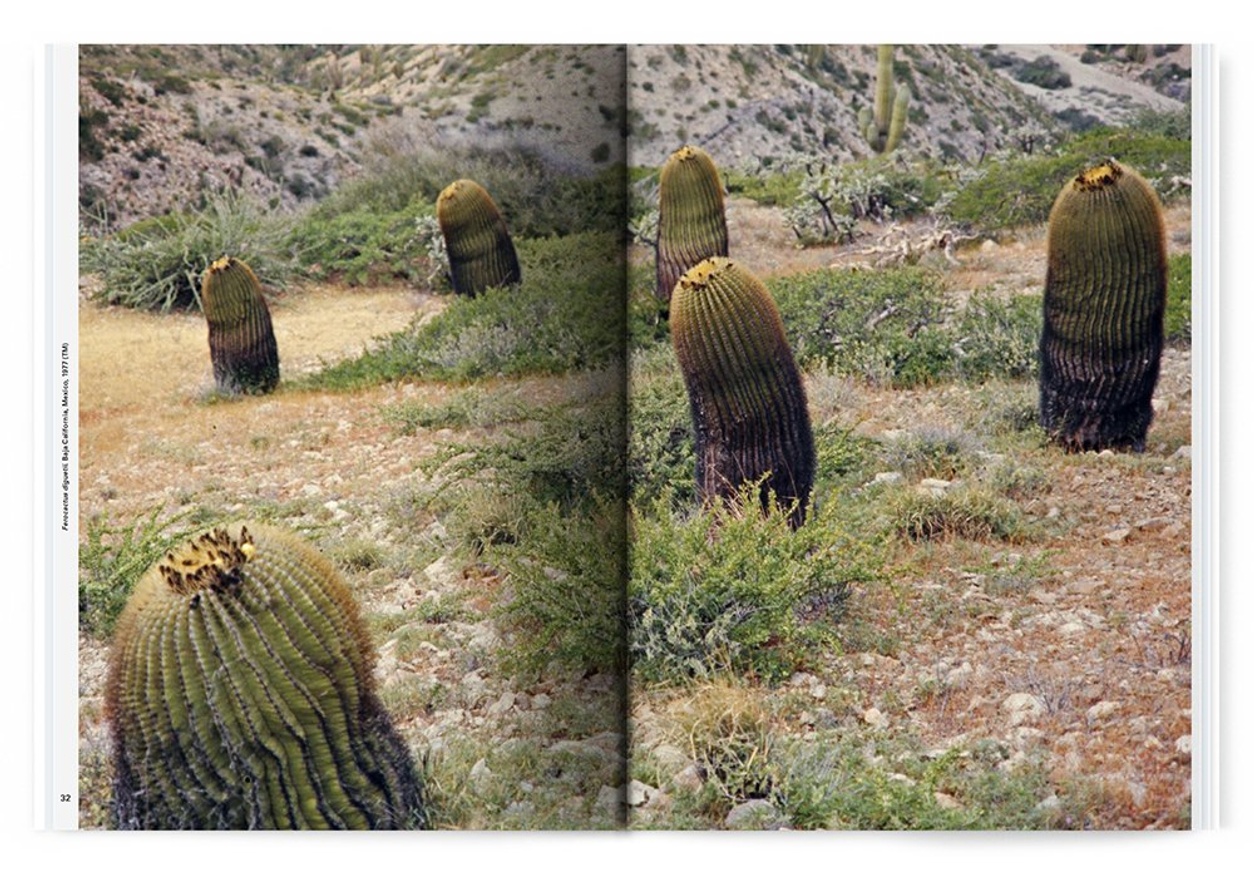 Xerophile: Cactus Photographs from Expeditions of the Obsessed thumbnail 4