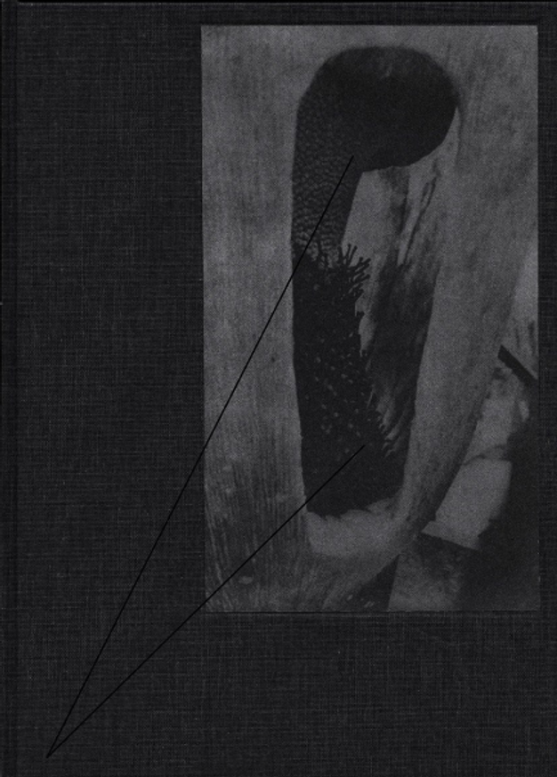 Magdalena Wysocka and Claudio Pogo - Only the Plants Will Ever