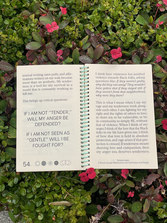 Tenderness: A Black Queer Meditation on Softness and Rage [Second Edition] thumbnail 4