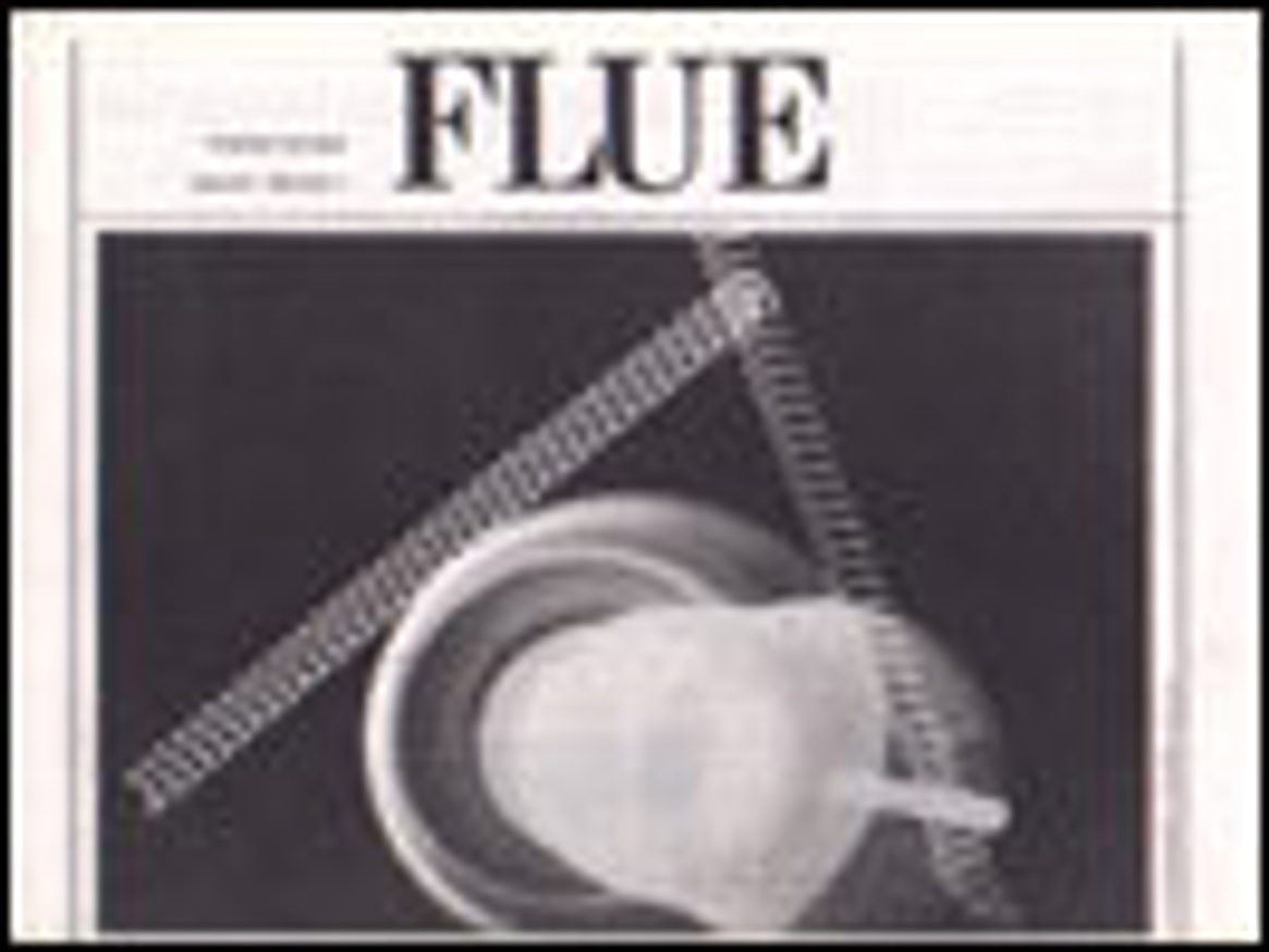 The Flue