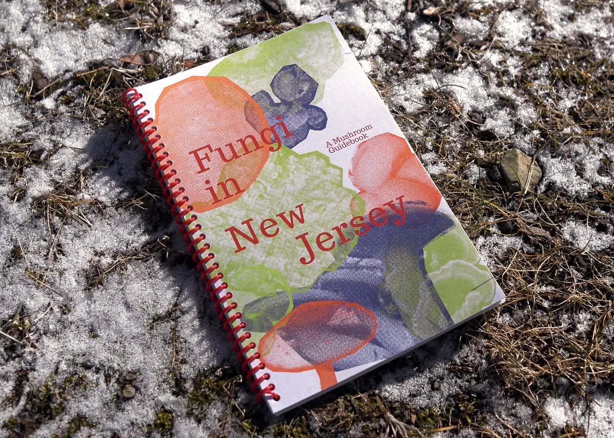 Fungi in New Jersey