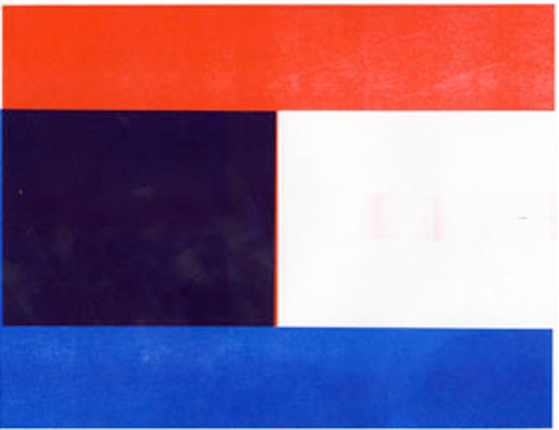 Tommy Flag Series: 8.5 × 11″, Riso MZ 1090U thumbnail 5