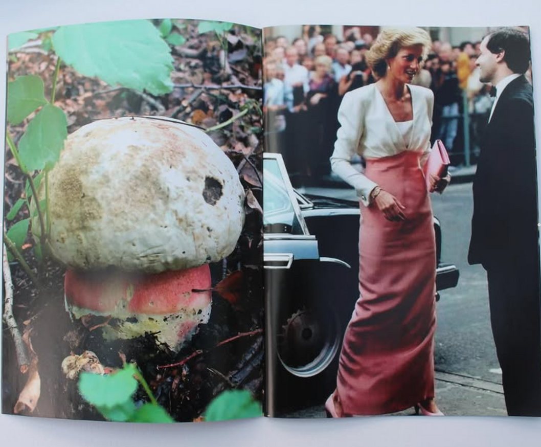 Lulu Williams Princess Diana as Mushrooms Printed Matter
