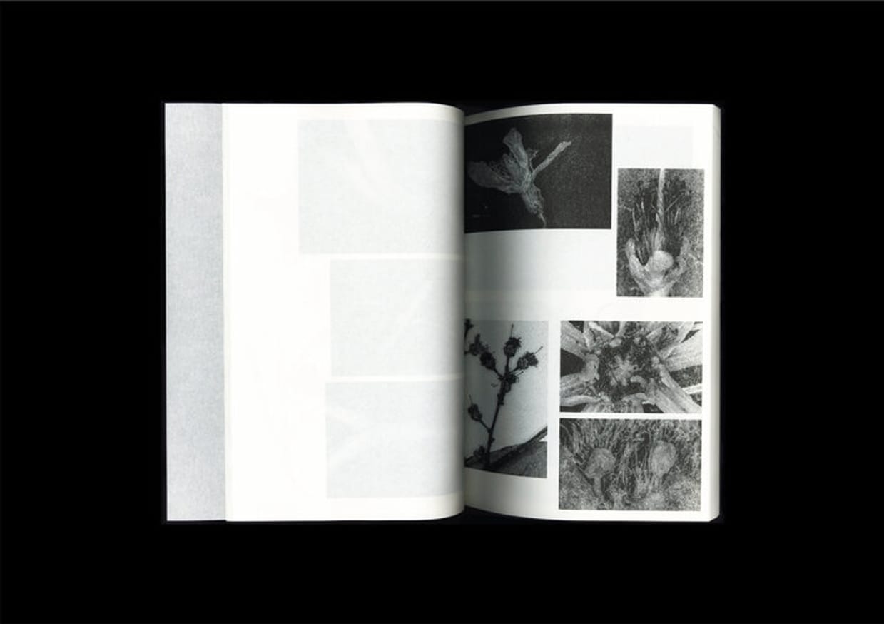 Loh Xiang Yun - Microscopic Images - Printed Matter