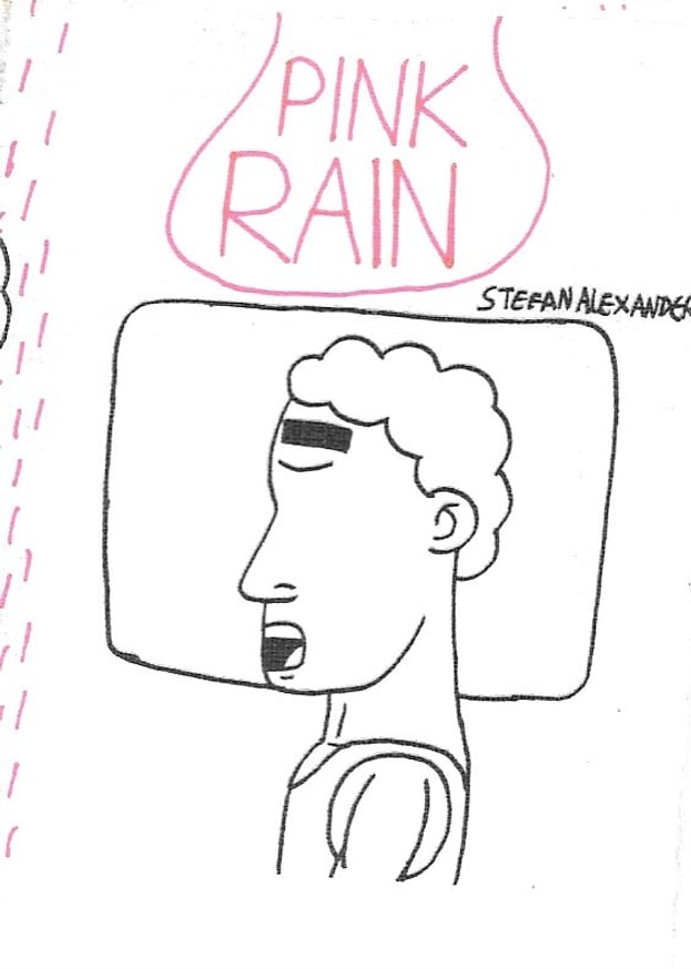 Stefan Alexander - Pink Rain - Printed Matter
