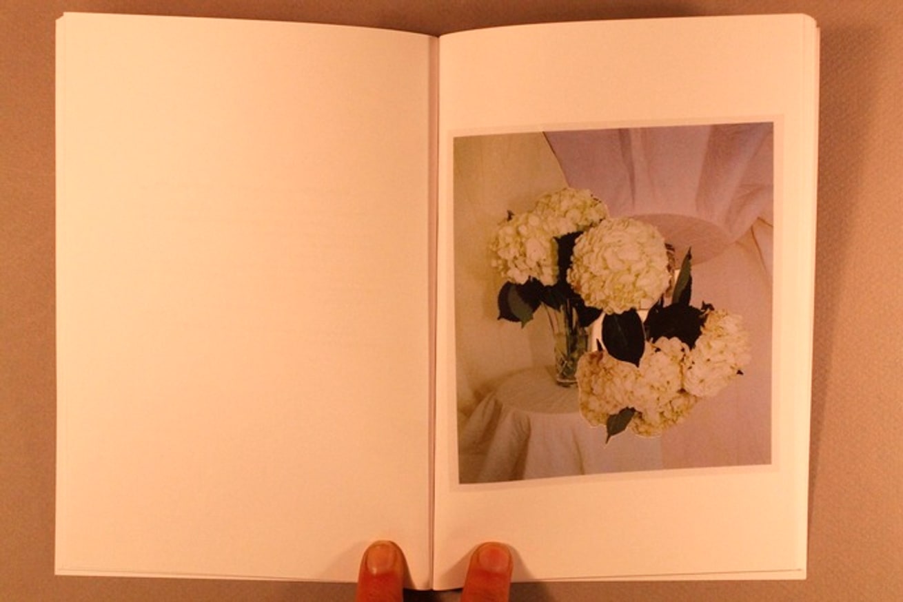 Adam Marnie and Ed Steck - The Rose - Printed Matter