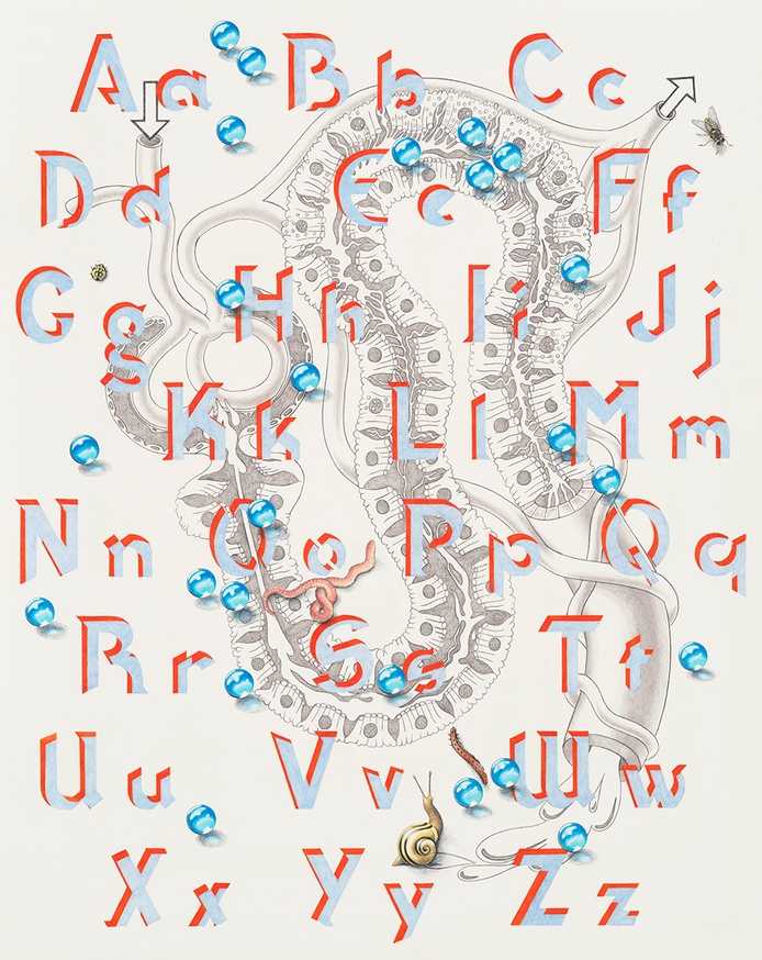 Alphabet, 2019