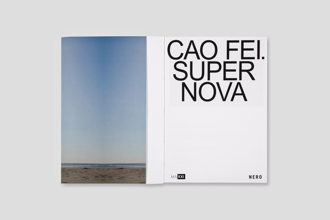 Cao Fei. Supernova thumbnail 5