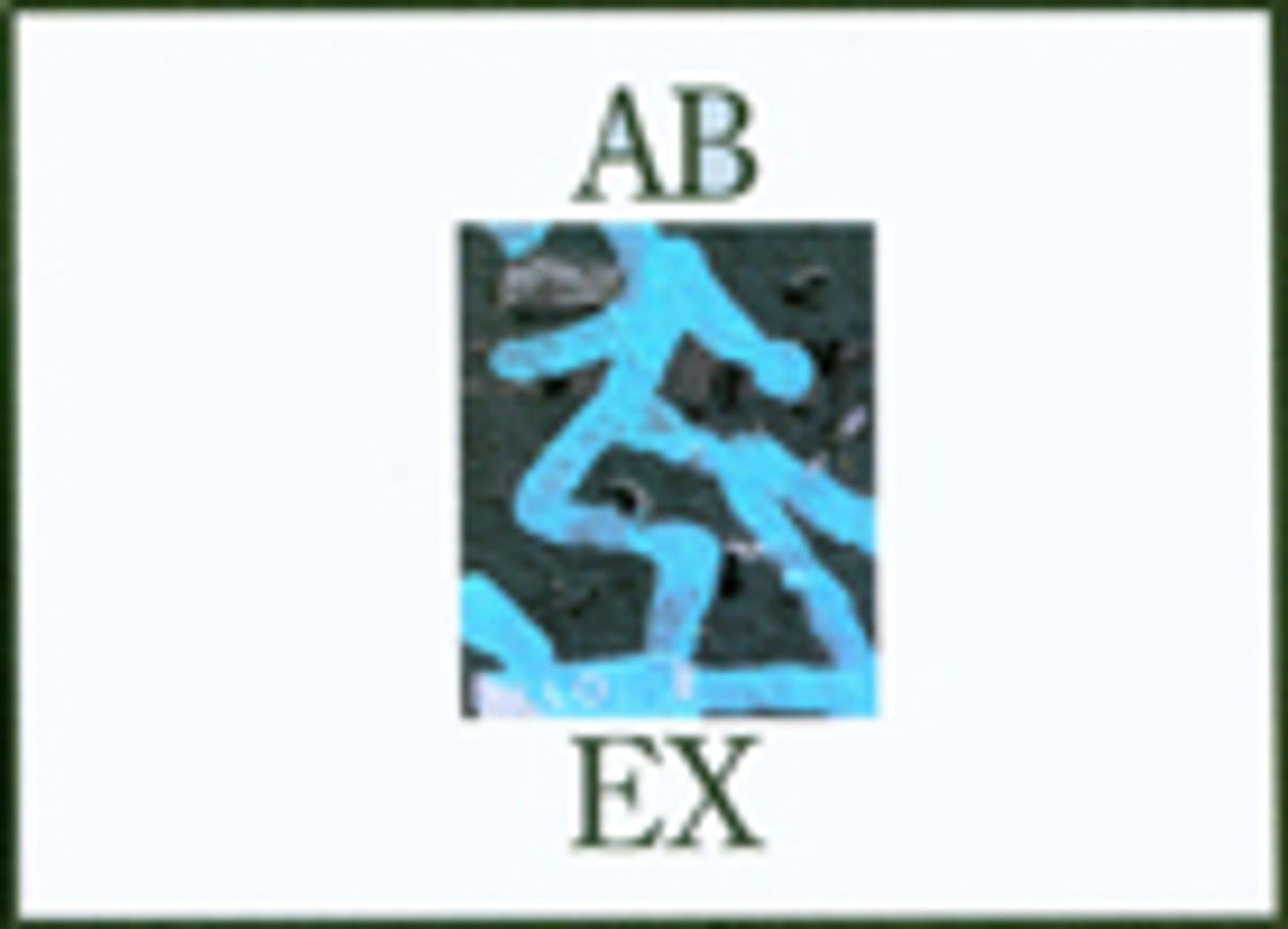 Ab Ex