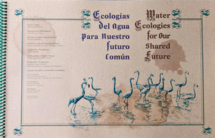 Water Ecologies for Our Shared Future