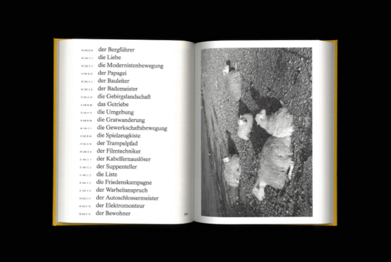 Jeffrey Ladd - The Awful German Language - Printed Matter