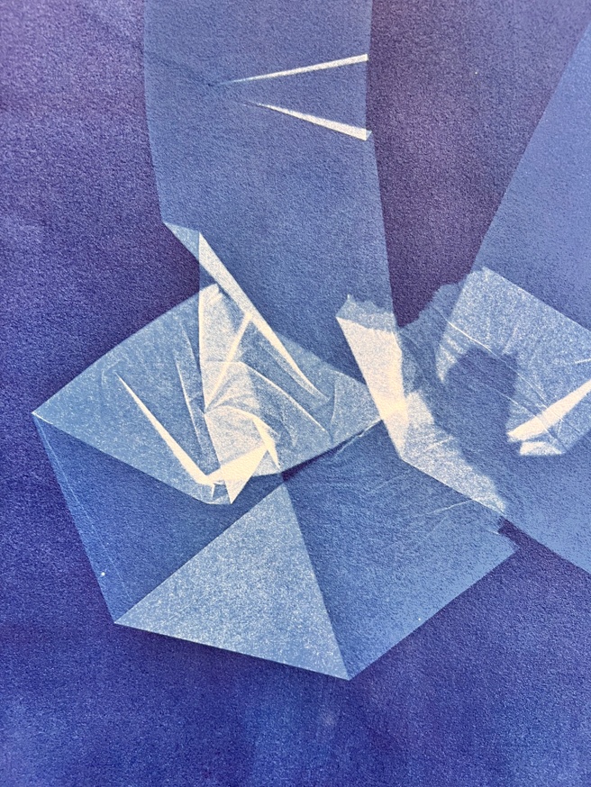 Dear Anna Atkins [Print] 2 thumbnail 5