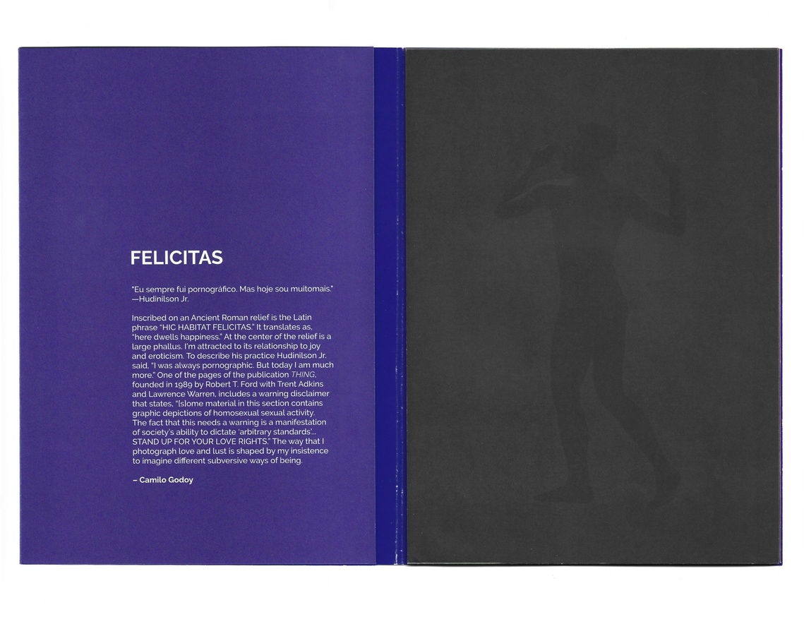 Camilo Godoy: "FELICITAS" thumbnail 2