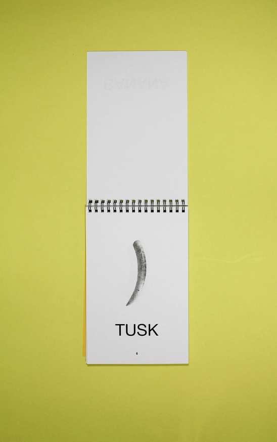 TUSK CLIP BANANA thumbnail 4