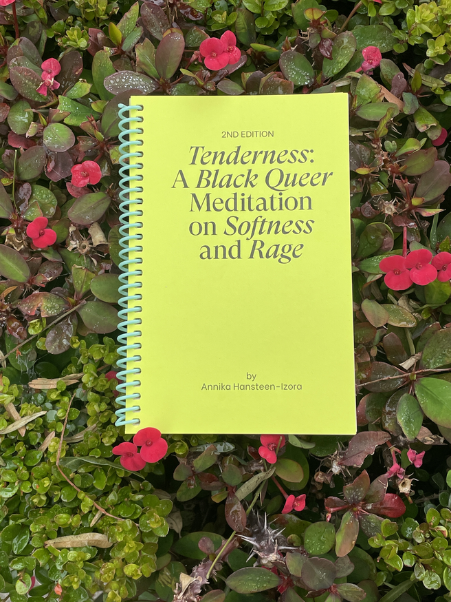 Tenderness: A Black Queer Meditation on Softness and Rage [Second Edition]