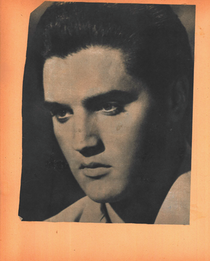 Elvis Zine [Poster - Large]