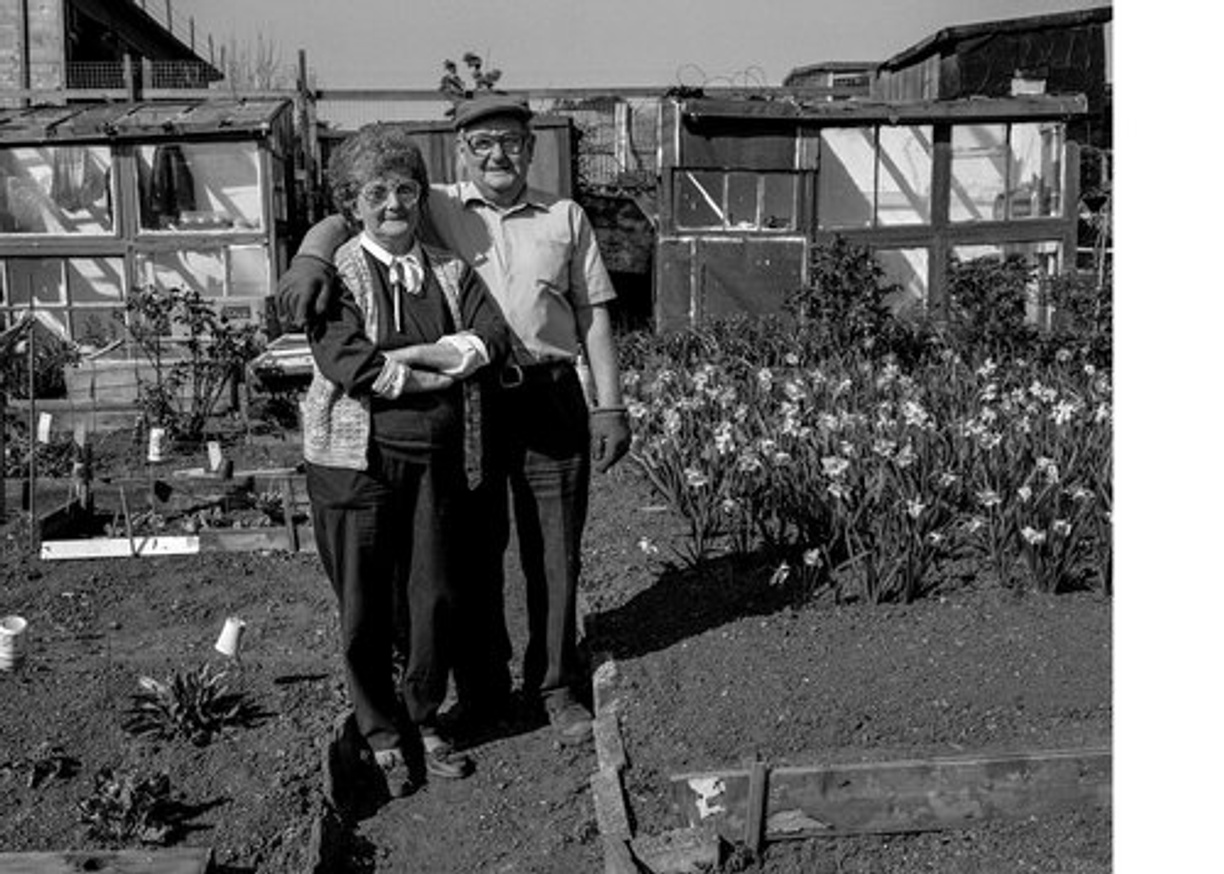 Allotments Newcastle upon Tyne 1992 thumbnail 4