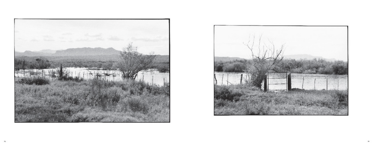 Zoe Leonard: Al río / To the River thumbnail 3