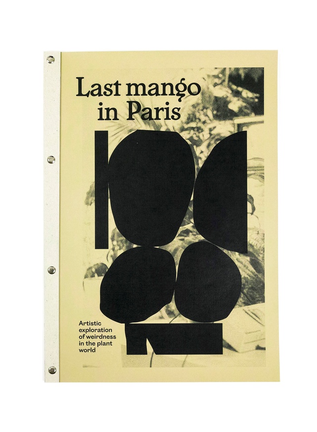 Last Mango in Paris