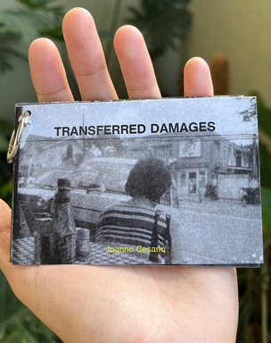 Transferred Damages