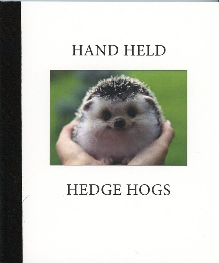 Hand Held Hedge Hogs