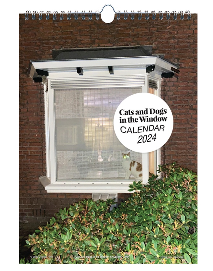 Cats and Dogs in the Window CALENDAR 2024