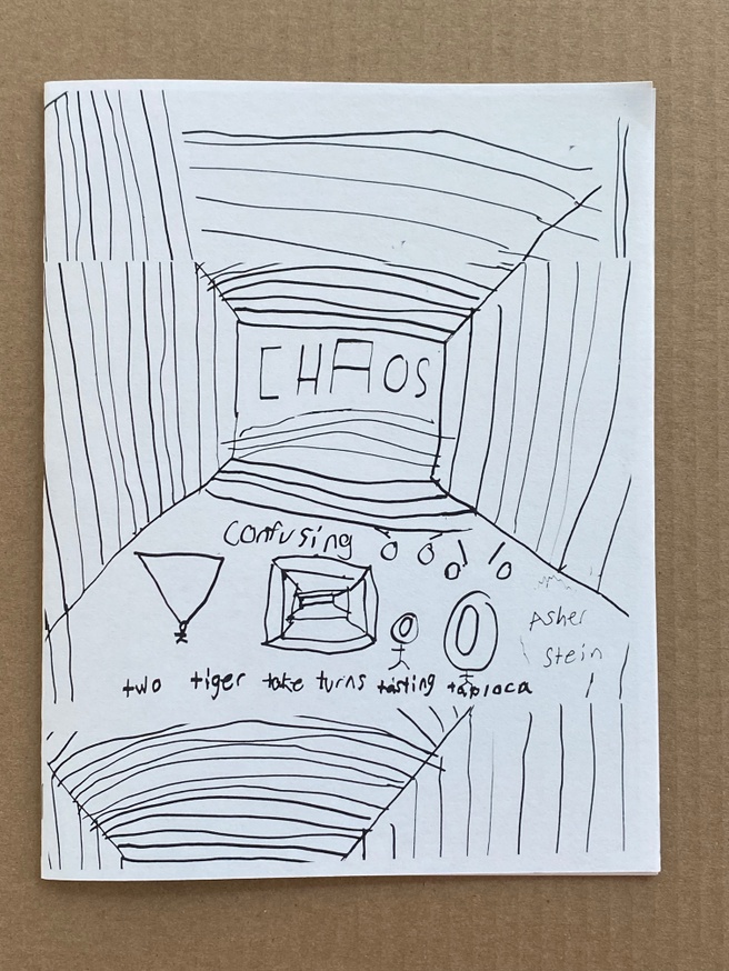 Chaos