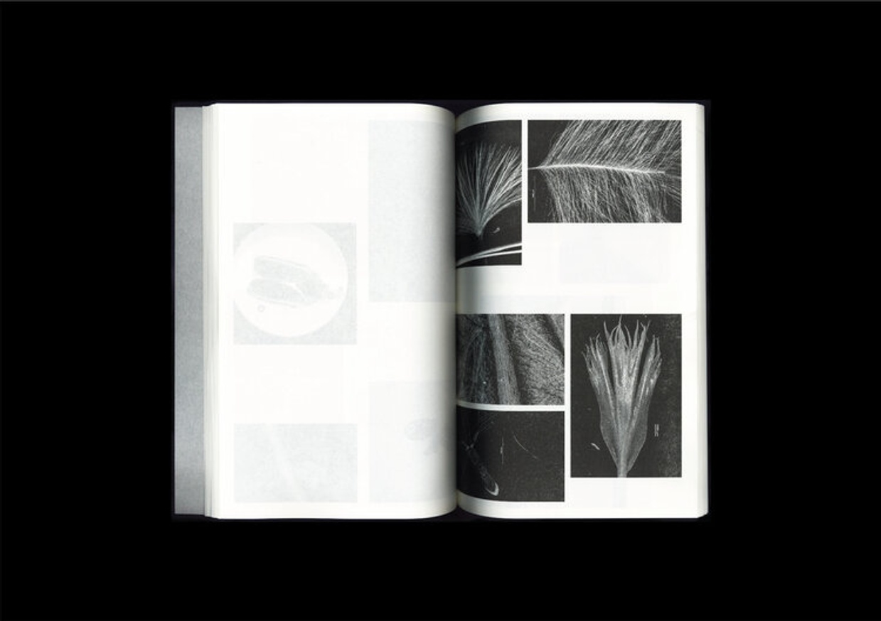 Loh Xiang Yun - Microscopic Images - Printed Matter