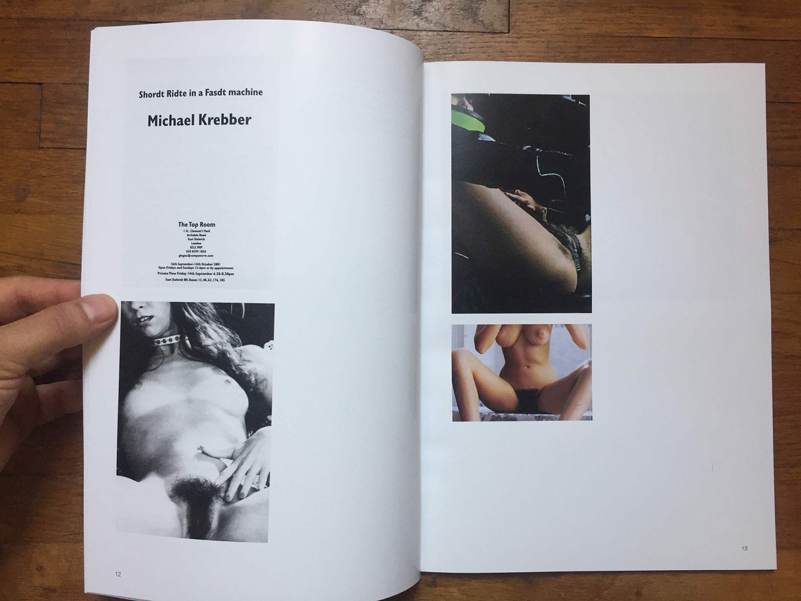 Altered Secession Catalogue - Michael Krebber (Pussy) thumbnail 8