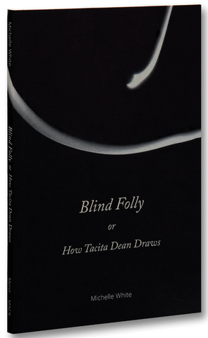 Blind Folly or How Tacita Dean Draws