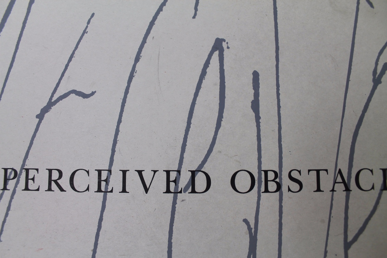 Perceived Obstacles thumbnail 3