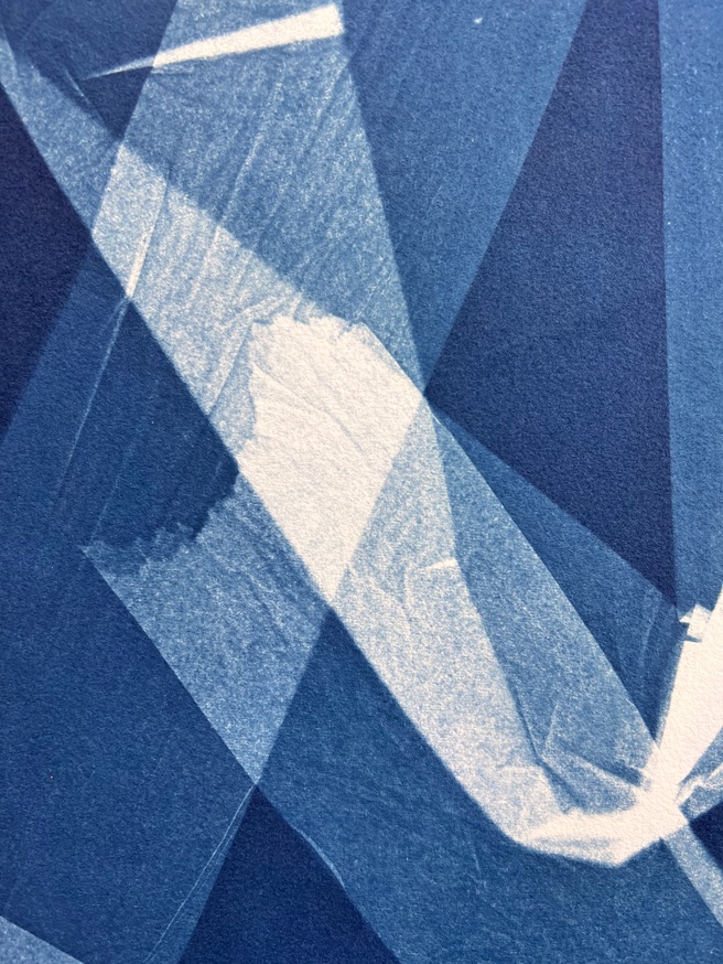 Dear Anna Atkins [Print] 2 thumbnail 3