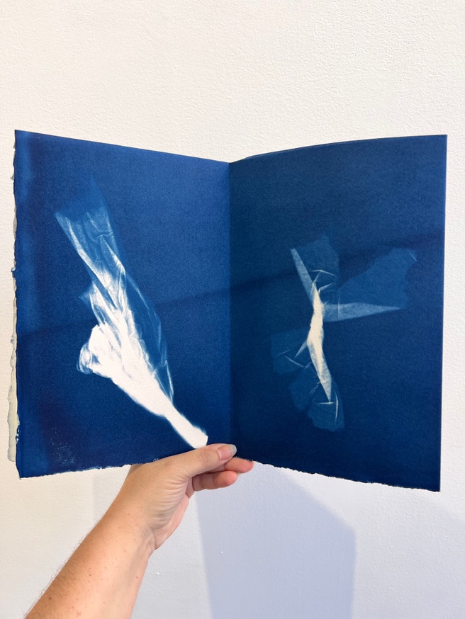 Dear Anna Atkins thumbnail 4