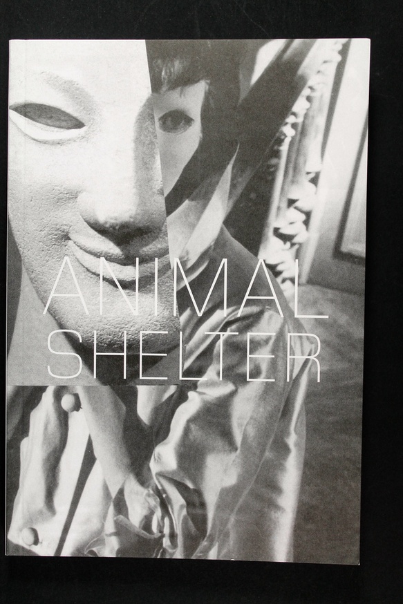 Animal Shelter thumbnail 6