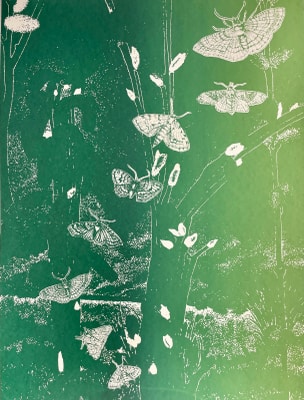 A Moth Exits [Screenprint]