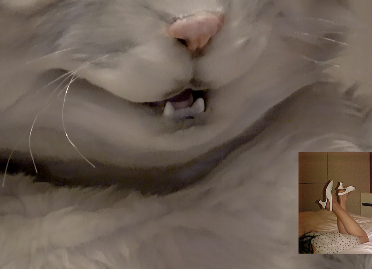 Lotta Volkova and Moni Haworth - 0081 - Printed Matter