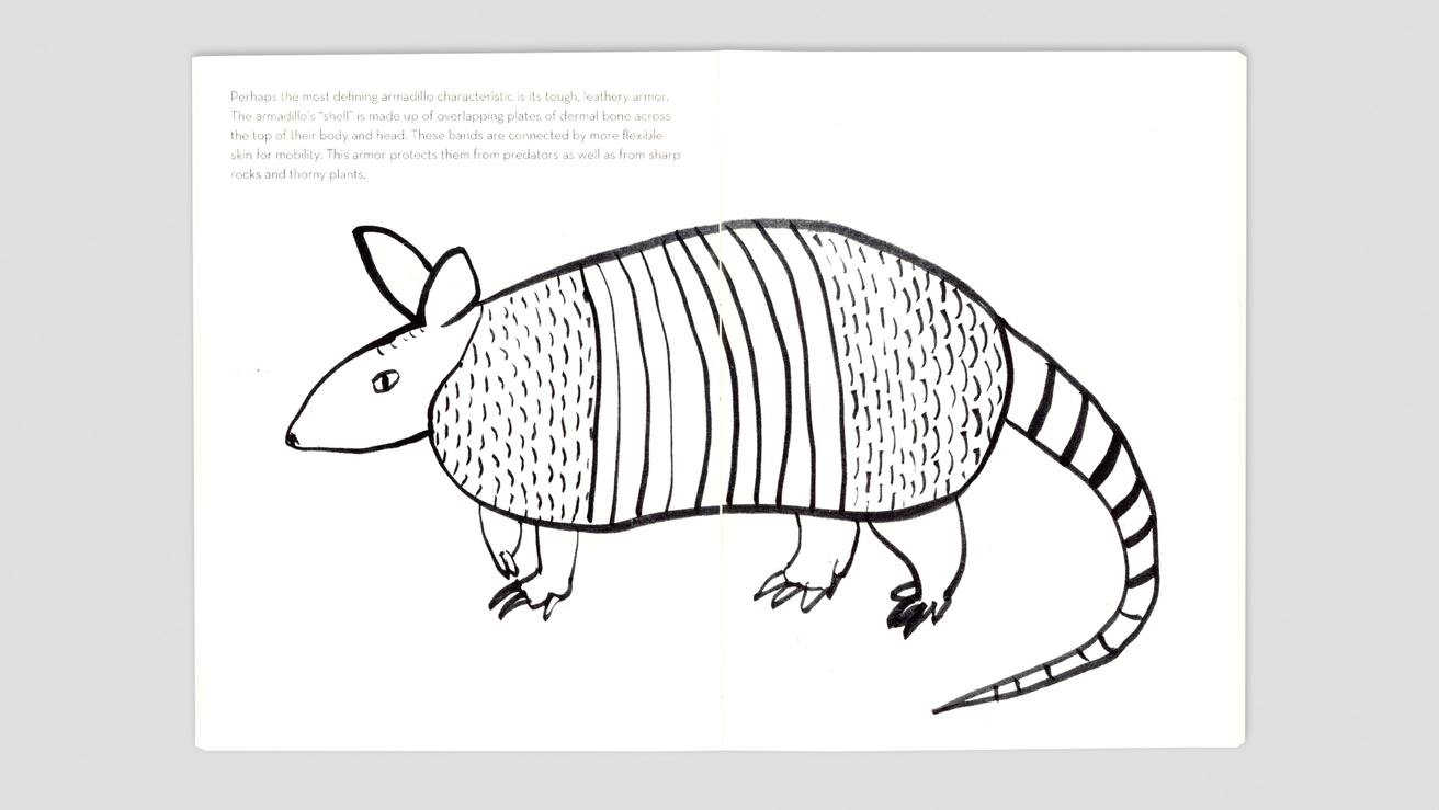 Armadillos thumbnail 3