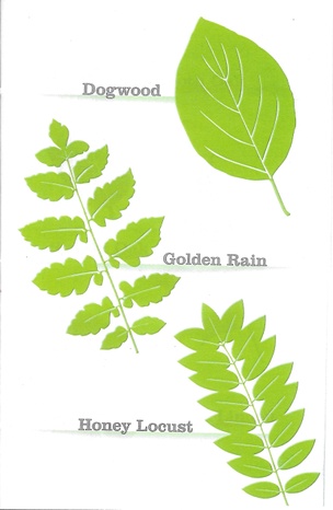 New York Leaf Directory