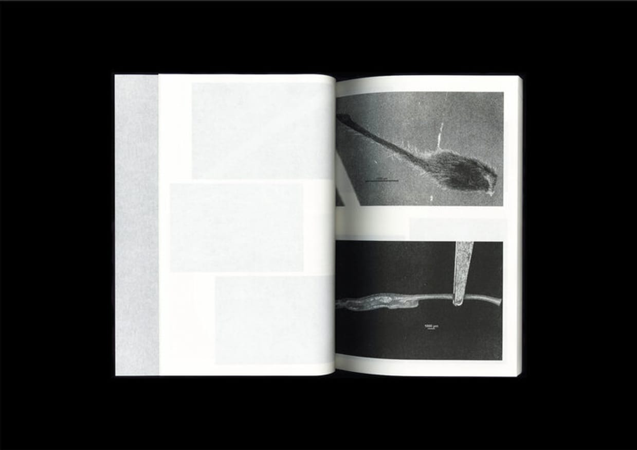 Loh Xiang Yun - Microscopic Images - Printed Matter