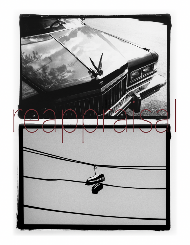 Reappraisal - Printed Matter