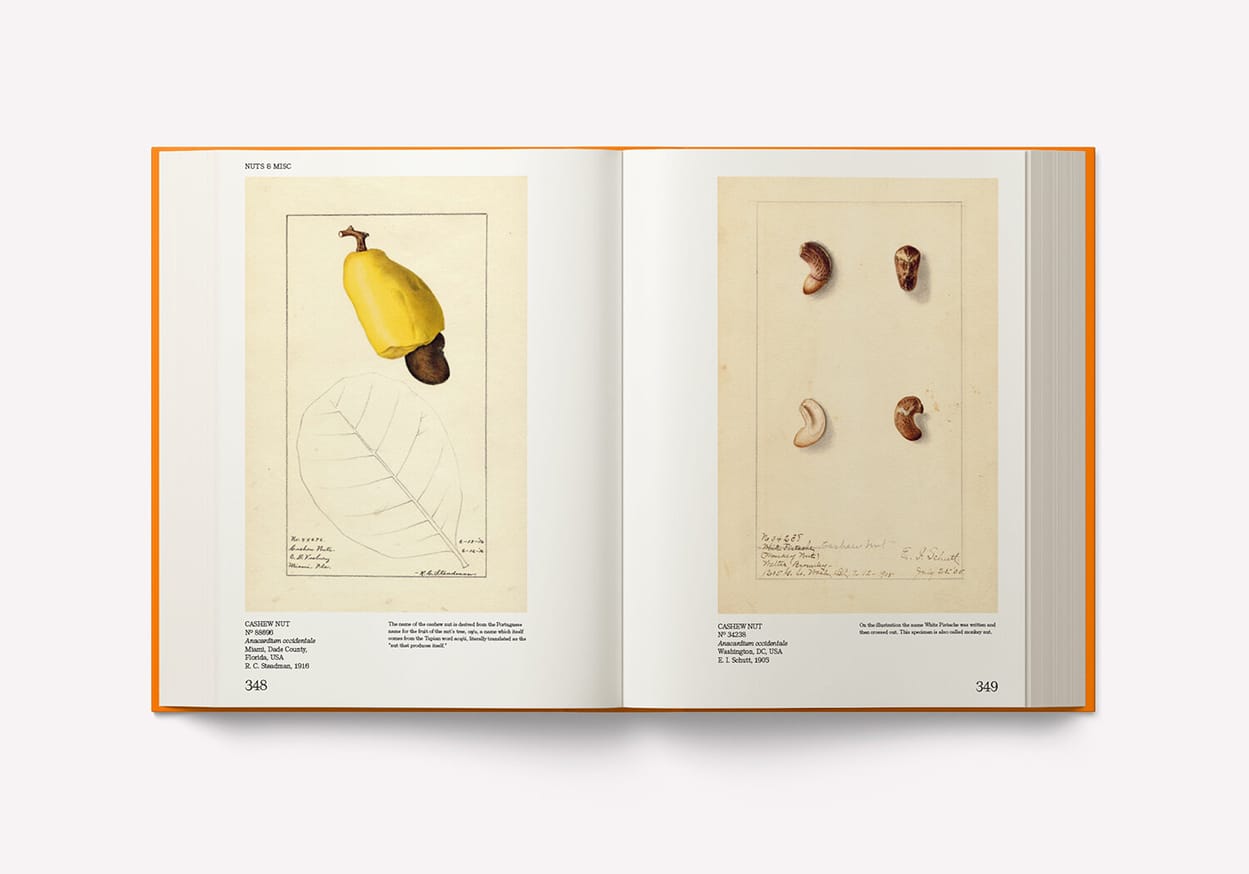 Adam Leith Gollner An Illustrated Catalog of American Fruits & Nuts The U.S. Department of