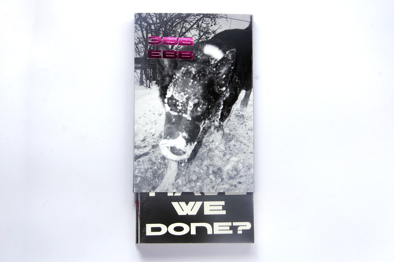 Various - EBB Issue 2: What Have We Done? / ЭББ выпуск 2: Что мы ...