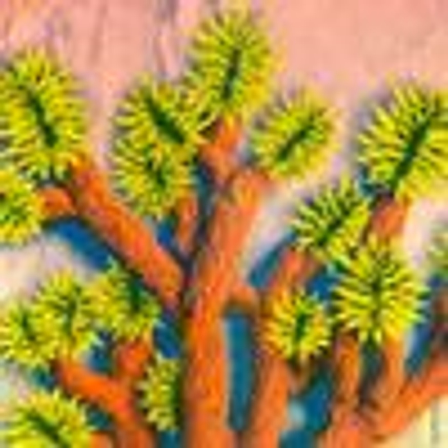  Joshua Tree thumbnail 4