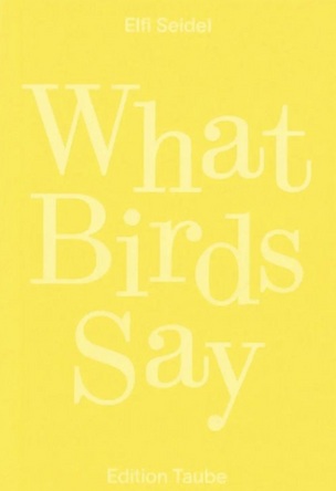 What Birds Say
